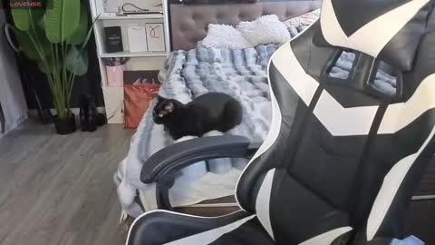 Snapshot of mezzalunaa chatting on 02-13-26, 05:36 vollmond online show from 02-13-26, 05:36