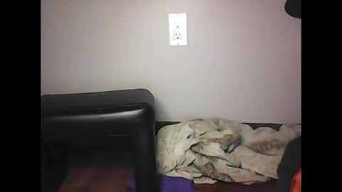 mi45419 online show from 11-02-25, 07:05