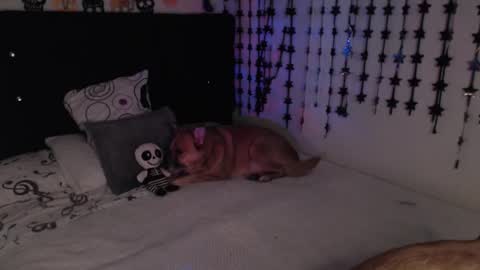 mia online show from 02-18-26, 11:33