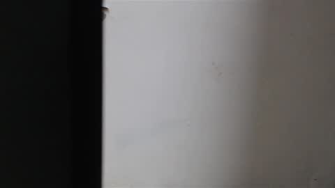 Snapshot of mia_sepulveda chatting on 01-22-25, 04:02 Mia Sepulveda online show from 01-22-25, 04:02