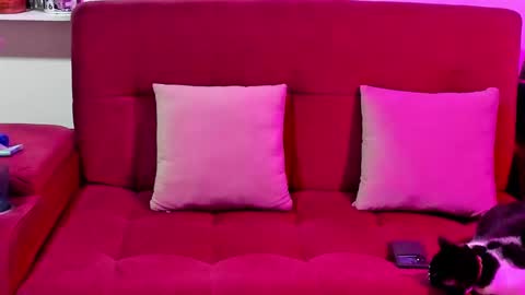 Snapshot of miadimota chatting on 09-14-25, 01:05 Mia online show from 09-14-25, 01:05