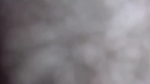 Snapshot of miahlove3x chatting on 10-17-25, 04:59 MiahLove31 online show from 10-17-25, 04:59