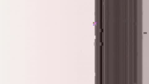 miamifit online show from 03-19-26, 05:11