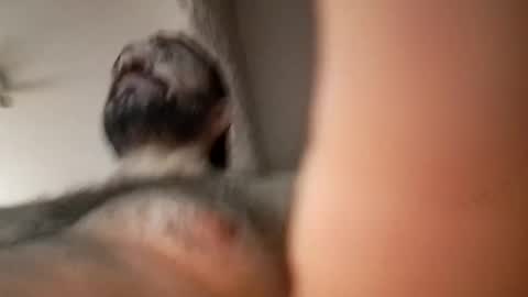 Snapshot of michael666c chatting on 02-27-25, 09:00 michael666c online show from 02-27-25, 09:00