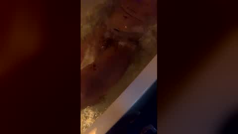 michelsexy69603790 online show from 04-12-26, 03:44