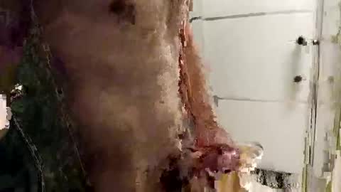 mickavis1975 online show from 12-14-25, 05:40