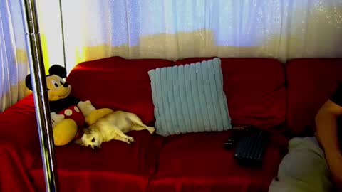 Snapshot of mickeyshyne69 chatting on 02-28-25, 12:43 Mickey online show from 02-28-25, 12:43