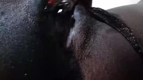 Snapshot of micmash_ chatting on 12-16-25, 12:43 mickey online show from 12-16-25, 12:43