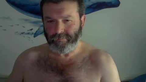 Snapshot of midhir chatting on 01-30-25, 03:19 kike online show from 01-30-25, 03:19