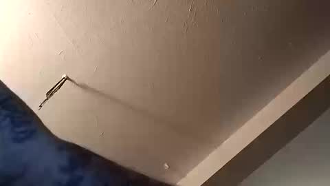 mike3333me online show from 10-11-25, 12:32