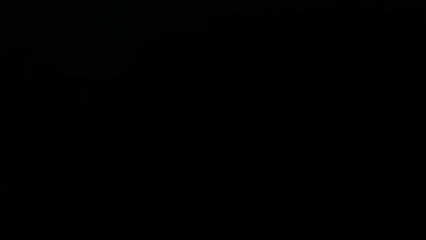 Snapshot of mike_foxxx_ chatting on 12-04-25, 02:10 MIKE FOXXX online show from 12-04-25, 02:10