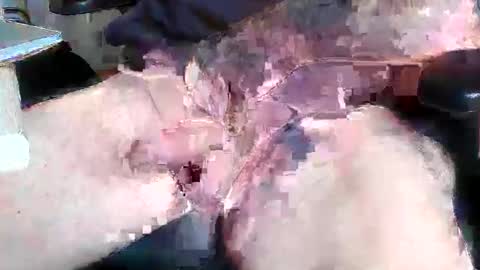 mikefun4711 online show from 10-28-25, 08:29