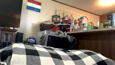 Snapshot of mikeylikesit2222 chatting on 09-25-25, 08:23 mikeylikesit2222 online show from 09-25-25, 08:23