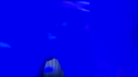 mikie19891 online show from 11-16-25, 03:01