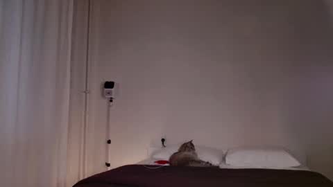 milky__way_ online show from 10-05-25, 03:10