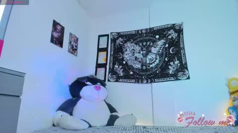        online show from 07-18-26, 09:24