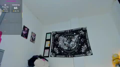        online show from 07-24-26, 09:18