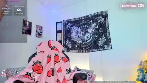       online show from 07-28-26, 09:04