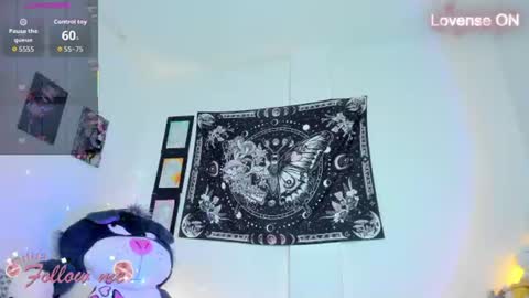        online show from 07-29-26, 09:07