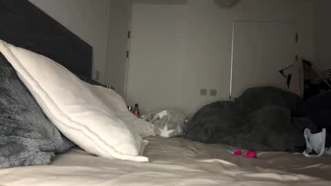 Mimi Monroe  online show from 11-09-25, 07:01