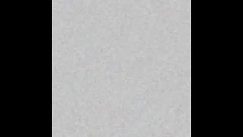 miniorganismo online show from 12-14-25, 11:09