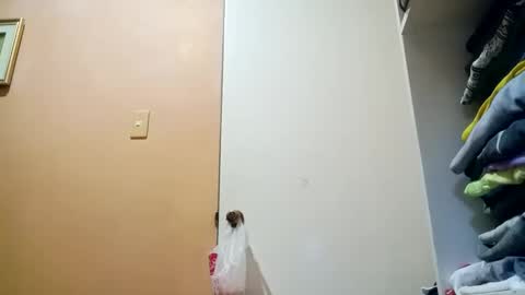 Im Ping online show from 10-30-25, 10:43