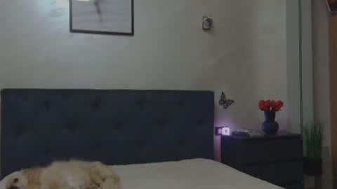 Snapshot of miriam04 chatting on 12-04-25, 10:29 miriam04 online show from 12-04-25, 10:29