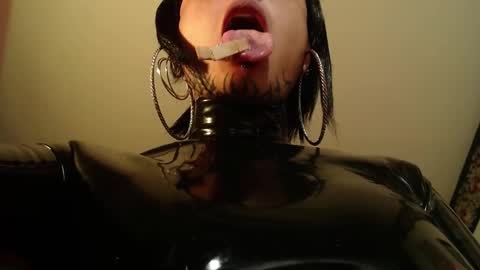 Snapshot of missanarky chatting on 02-26-25, 04:47 Anarkitten  online show from 02-26-25, 04:47