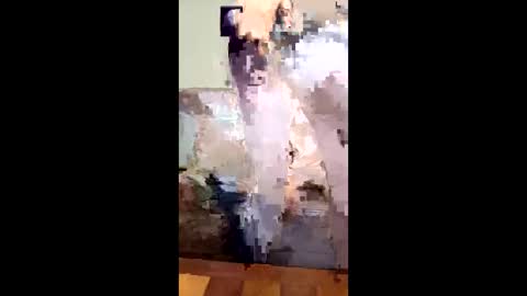 missb901 online show from 03-14-26, 09:15