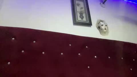 Missbelle online show from 02-28-26, 09:16