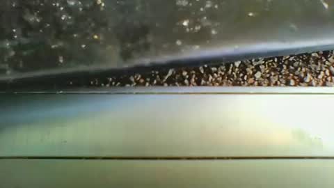 missdarkmatter69 online show from 12-19-25, 08:49