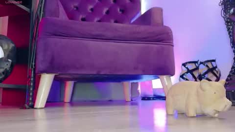 Jhadee online show from 03-07-26, 11:02