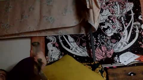 Mistress Mystii online show from 01-12-25, 06:28