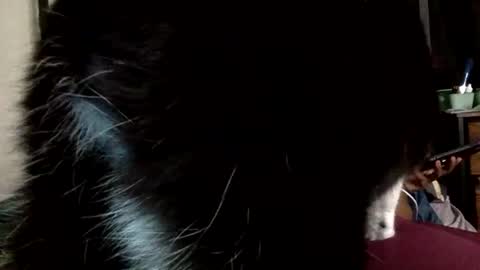 Mistress Mystii online show from 03-01-26, 05:42