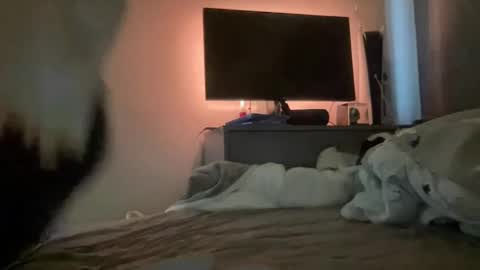 Snapshot of mitchellw7752 chatting on 12-31-24, 12:57 mitchellw7752 online show from 12-31-24, 12:57