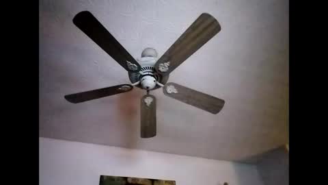 Snapshot of mitchnails69 chatting on 12-22-24, 12:05 BobbyMitchGa online show from 12-22-24, 12:05