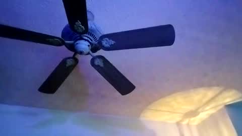 Snapshot of mitchnails69 chatting on 02-10-25, 07:04 BobbyMitchGa online show from 02-10-25, 07:04