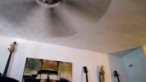 Snapshot of mitchnails69 chatting on 09-14-25, 06:18 BobbyMitchGa online show from 09-14-25, 06:18