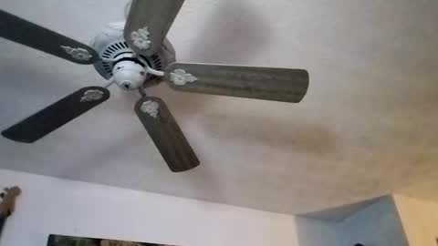 Snapshot of mitchnails69 chatting on 09-27-25, 12:10 BobbyMitchGa online show from 09-27-25, 12:10