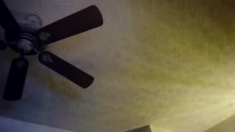 Snapshot of mitchnails69 chatting on 10-10-25, 08:13 BobbyMitchGa online show from 10-10-25, 08:13