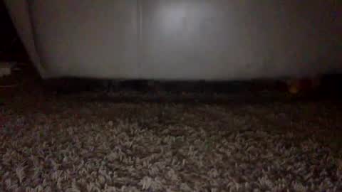 SexyRed online show from 09-16-25, 06:53