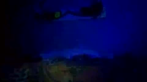 Snapshot of mjmckenz55 chatting on 10-14-25, 11:05 Daddy720 online show from 10-14-25, 11:05