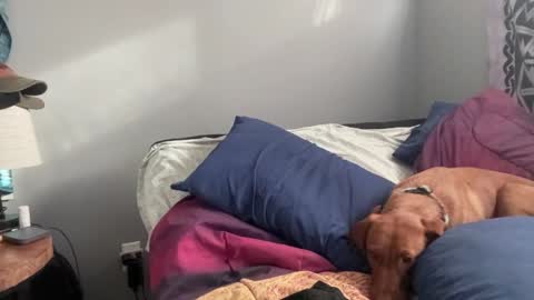 MNTuiLa online show from 02-02-25, 03:39