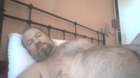 Snapshot of mofu781s chatting on 12-11-24, 08:26 mofu781s online show from 12-11-24, 08:26