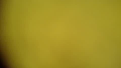 Snapshot of mohamedasif123 chatting on 01-29-25, 06:22 mohamedasif123 online show from 01-29-25, 06:22