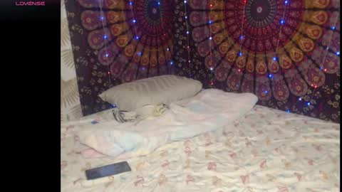 molli3mil3s online show from 09-11-25, 09:59