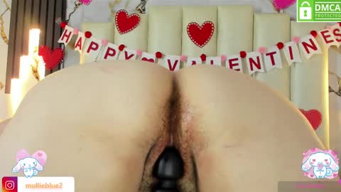 Snapshot of molliebue1 chatting on 02-14-25, 03:15 Hey Guys  Im Mollie online show from 02-14-25, 03:15