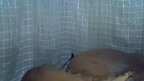 Snapshot of molly3211 chatting on 05-14-26, 01:45 molly3211 online show from 05-14-26, 01:45