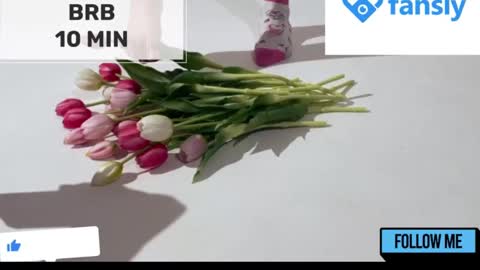 Mommy online show from 01-22-25, 05:16