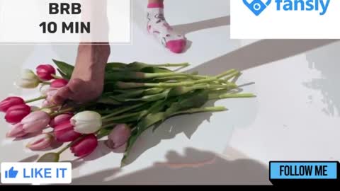 Mommy online show from 01-24-25, 02:18